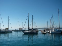 �C�^���A�̕��i�ʐ^