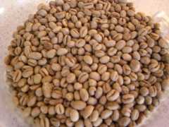 �R�[�q�[�̐����Ńs�[�x���[