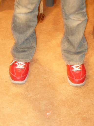 �X�E�B���O�v���[��