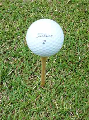 �]���̃e�B�[