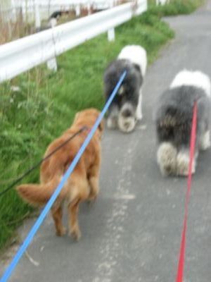 �l�����U����