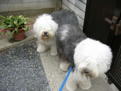 ���ꂩ��U�����[��!