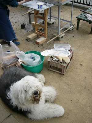 �Ηq�̑O�Ō�����ł��B