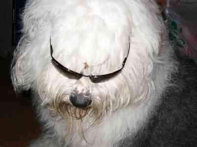 �����L�[�e�B�A�q