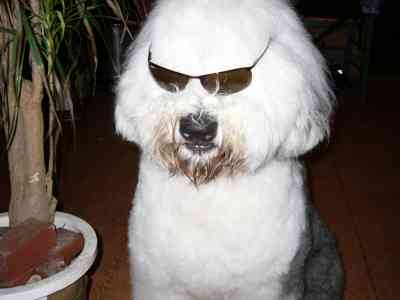 �l�̉ăX�^�C��