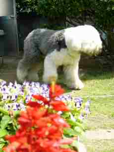 ����Ԃ�e�B�A�q�̍D���ȏꏊ(������Ƌ��Ȃ��Ȃ����Ǝv���Ƃ����ŐQ�Ă���)