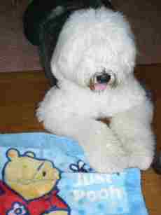 �l�}�j�b�V��