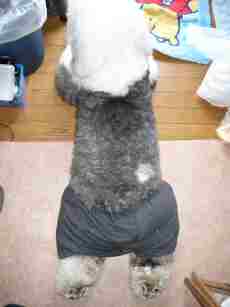 �l�̃p���c�p