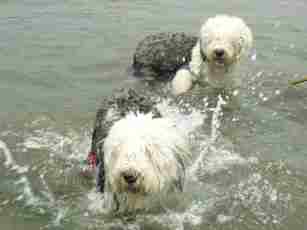 �����M�ꂽ�l