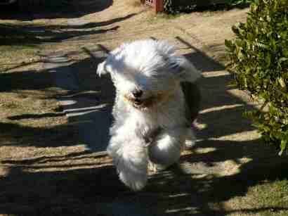 ���N�����C�ȃ}�j�b�V���Ł[���B