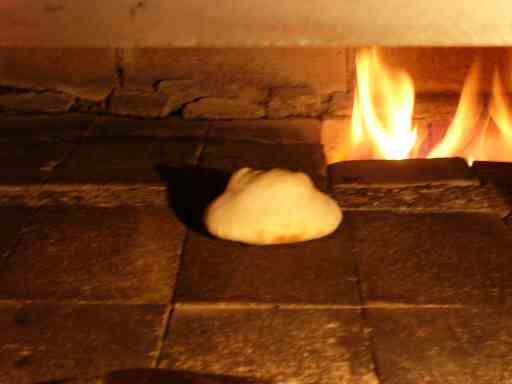 �T�O���̖c���