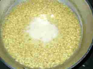 �p���~�W���[�m�`�[�Y������