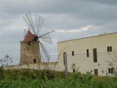 Trapani �g���p�[�j�̕���