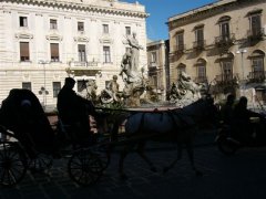 Siracusa�@�V���N�[�T�̕���