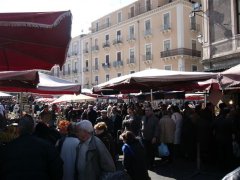 Catania �J�^�[�j���̎s��