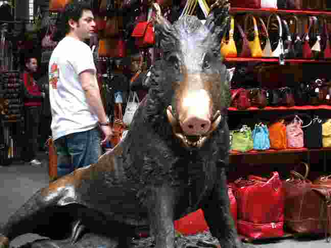 �X���C�h�V���[�摜